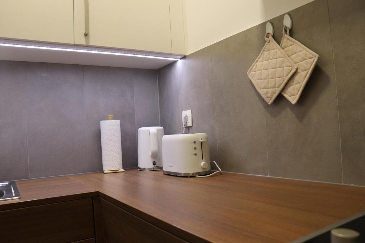 Studio Apartma Terme プトゥイ エクステリア 写真